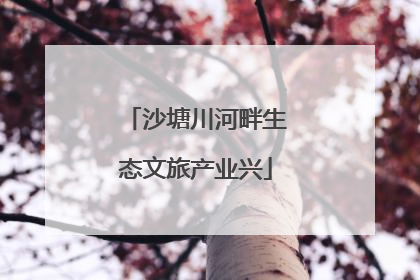 沙塘川河畔生态文旅产业兴
