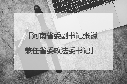 河南省委副书记张巍兼任省委政法委书记