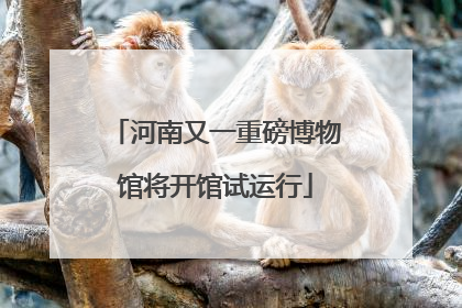 河南又一重磅博物馆将开馆试运行