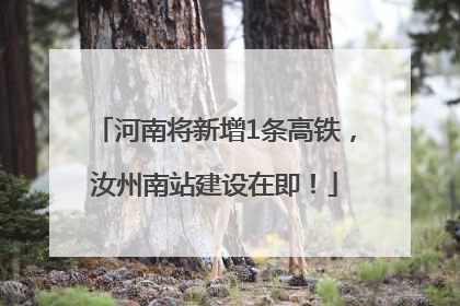 河南将新增1条高铁，汝州南站建设在即！