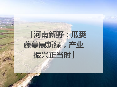 河南新野：瓜蒌藤蔓展新绿，产业振兴正当时