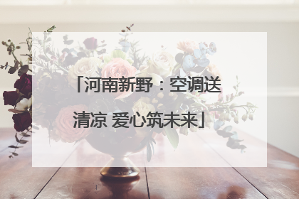 河南新野：空调送清凉 爱心筑未来