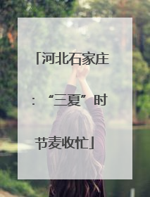 河北石家庄：“三夏”时节麦收忙
