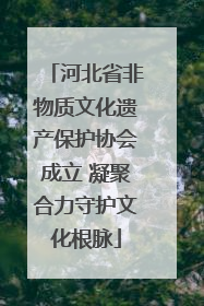 河北省非物质文化遗产保护协会成立 凝聚合力守护文化根脉