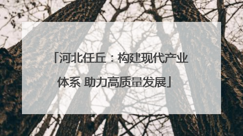 河北任丘：构建现代产业体系 助力高质量发展