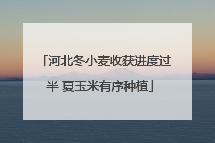 河北冬小麦收获进度过半 夏玉米有序种植