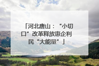河北唐山：“小切口”改革释放惠企利民“大能量”