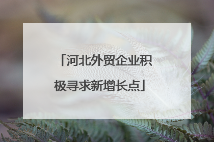 河北外贸企业积极寻求新增长点