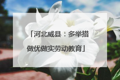 河北威县：多举措做优做实劳动教育