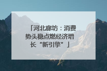 河北廊坊：消费势头稳点燃经济增长“新引擎”