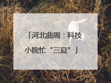 河北曲周：科技小院忙“三夏”
