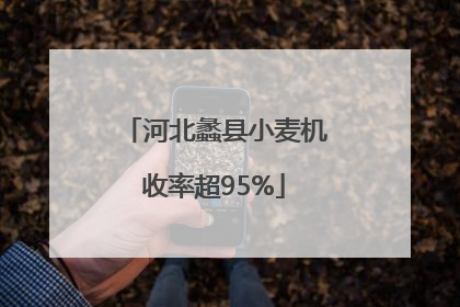 河北蠡县小麦机收率超95%