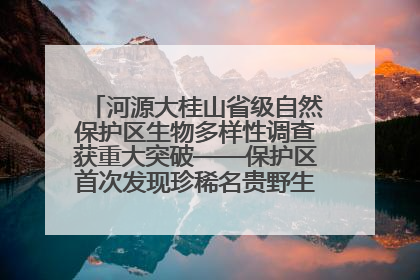 河源大桂山省级自然保护区生物多样性调查获重大突破——保护区首次发现珍稀名贵野生干巴菌与钝尾两头蛇