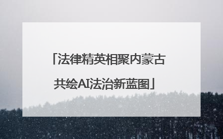 法律精英相聚内蒙古 共绘AI法治新蓝图
