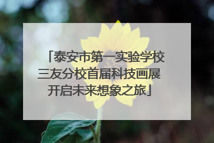 泰安市第一实验学校三友分校首届科技画展开启未来想象之旅