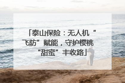 泰山保险：无人机“飞防”赋能，守护樱桃“甜蜜”丰收路