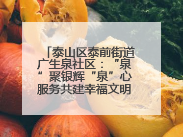 泰山区泰前街道广生泉社区：“泉”聚银辉“泉”心服务共建幸福文明和谐家园