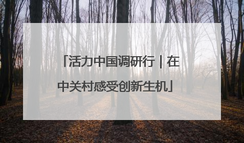 活力中国调研行｜在中关村感受创新生机