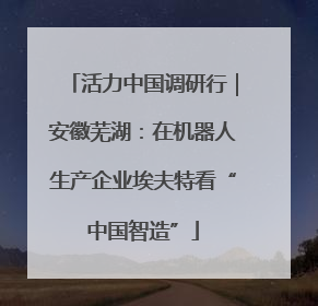 活力中国调研行｜安徽芜湖：在机器人生产企业埃夫特看“中国智造”
