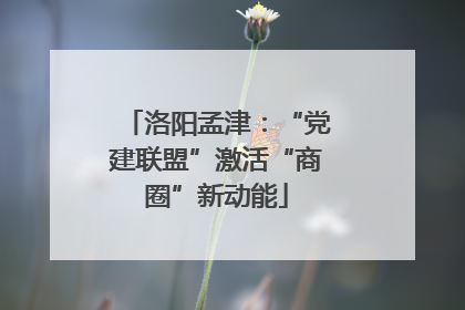 洛阳孟津：“党建联盟”激活“商圈”新动能