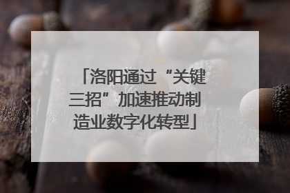 洛阳通过“关键三招”加速推动制造业数字化转型