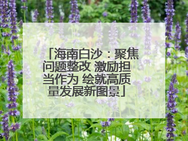 海南白沙：聚焦问题整改 激励担当作为 绘就高质量发展新图景