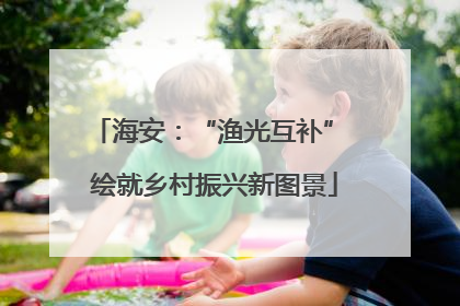 海安：“渔光互补” 绘就乡村振兴新图景