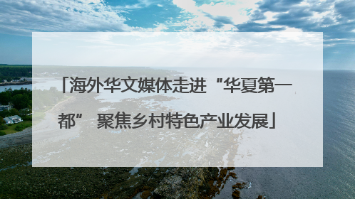 海外华文媒体走进“华夏第一都” 聚焦乡村特色产业发展