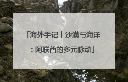 海外手记丨沙漠与海洋：阿联酋的多元脉动
