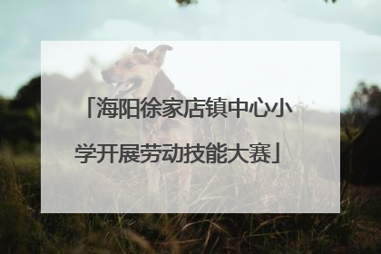 海阳徐家店镇中心小学开展劳动技能大赛
