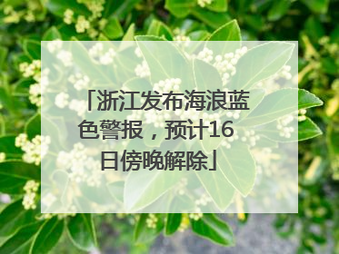 浙江发布海浪蓝色警报，预计16日傍晚解除