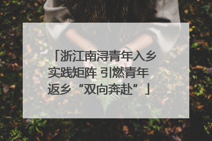 浙江南浔青年入乡实践矩阵 引燃青年返乡“双向奔赴”