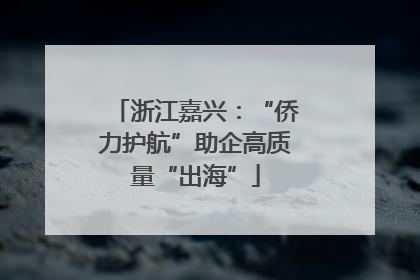 浙江嘉兴：“侨力护航”助企高质量“出海”