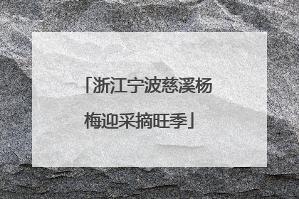 浙江宁波慈溪杨梅迎采摘旺季
