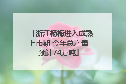 浙江杨梅进入成熟上市期 今年总产量预计74万吨