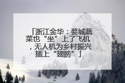 浙江金华：婺城蔬菜也“坐”上了飞机，无人机为乡村振兴插上“翅膀”