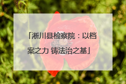 淅川县检察院：以档案之力 铸法治之基