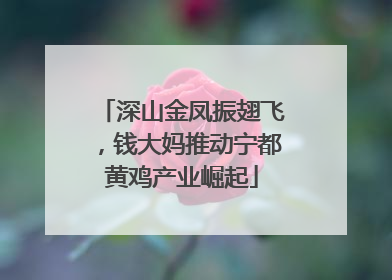 深山金凤振翅飞，钱大妈推动宁都黄鸡产业崛起