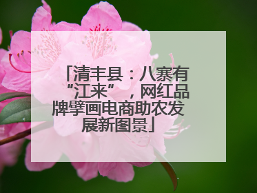 清丰县：八寨有“江来”，网红品牌擘画电商助农发展新图景