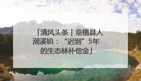 清风头条｜桑植县人潮溪镇：“迟到”5年的生态林补偿金