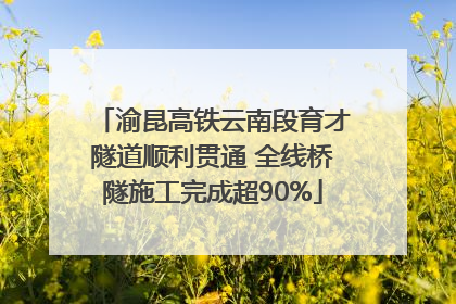 渝昆高铁云南段育才隧道顺利贯通 全线桥隧施工完成超90%