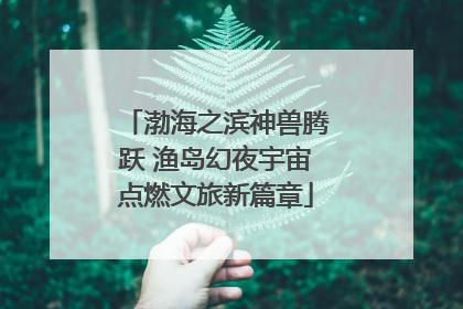 渤海之滨神兽腾跃 渔岛幻夜宇宙点燃文旅新篇章