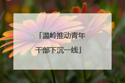 温岭推动青年干部下沉一线
