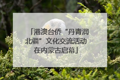 港澳台侨“丹青润北疆”文化交流活动在内蒙古启幕