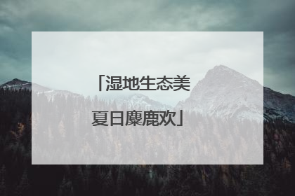 湿地生态美 夏日麋鹿欢