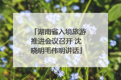 湖南省入境旅游推进会议召开 沈晓明毛伟明讲话