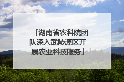 湖南省农科院团队深入武陵源区开展农业科技服务
