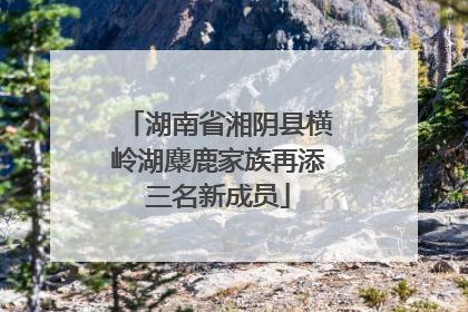 湖南省湘阴县横岭湖麋鹿家族再添三名新成员