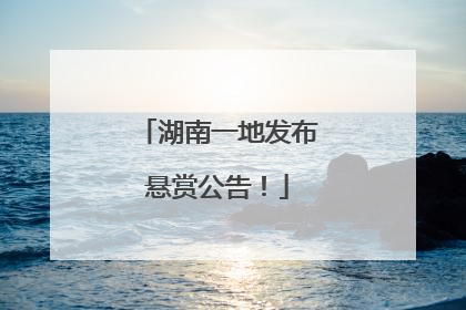 湖南一地发布悬赏公告！
