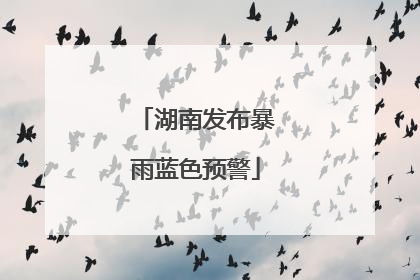 湖南发布暴雨蓝色预警